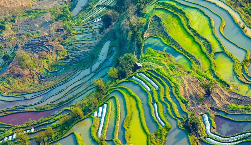 走进泉山区TVC拍摄：解锁本地化场景与创意镜头的完美融合
